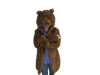 Bear Coat - Presale